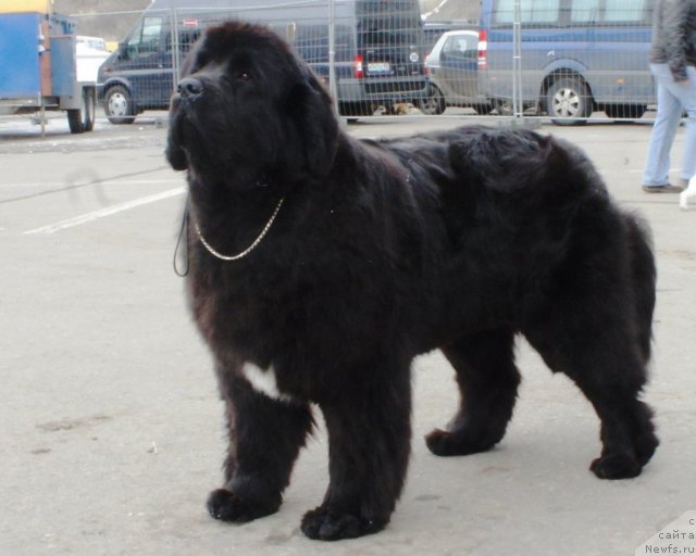 Фотография № 62862