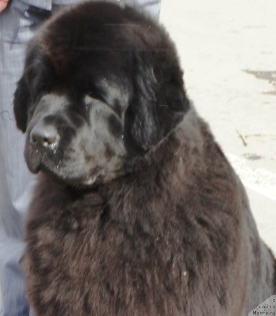 Фотография № 62863