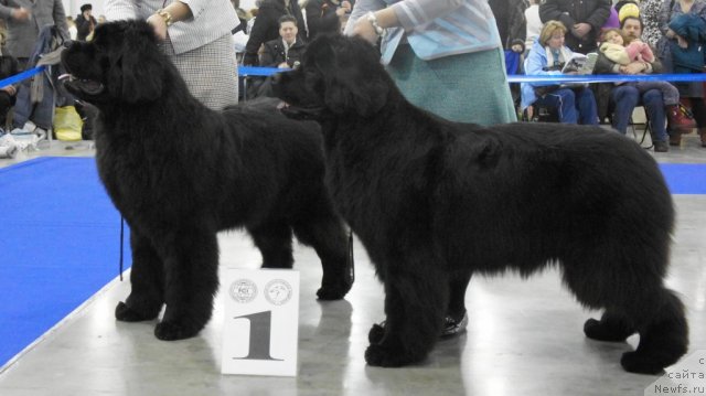 Фотография № 62865