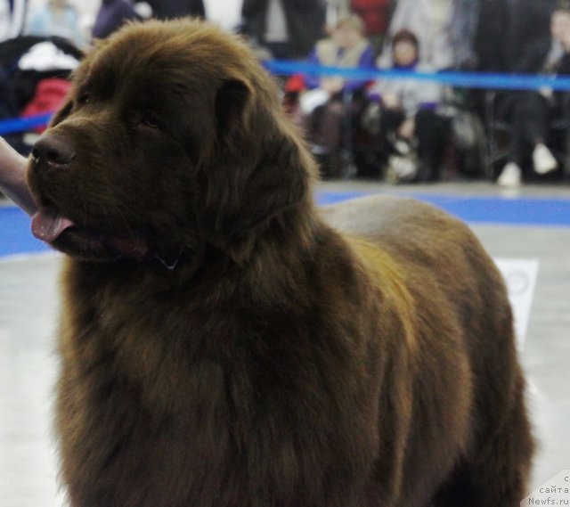 Фотография № 62869