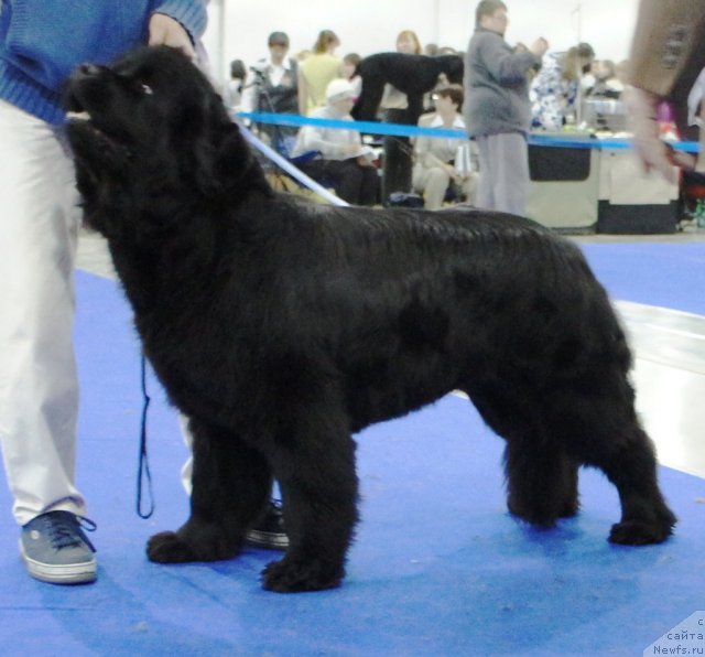 Фотография № 62873