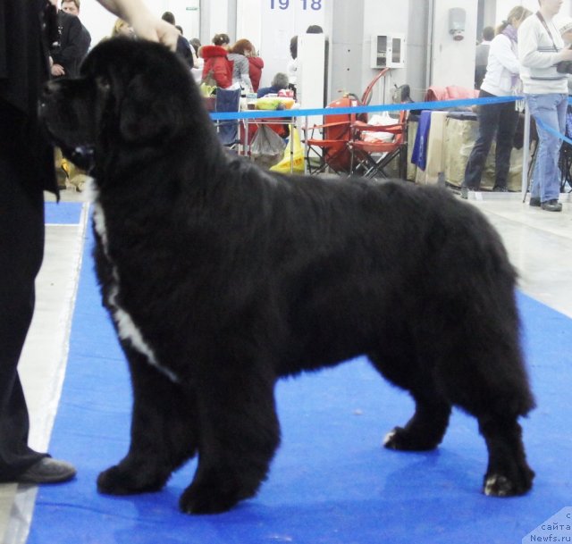 Фотография № 62877