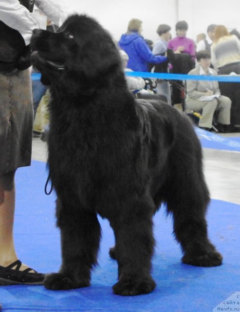 Фотография № 62879