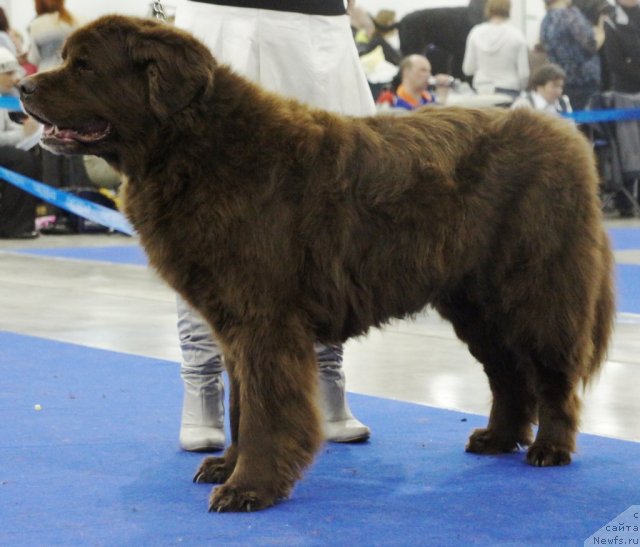 Фотография № 62880