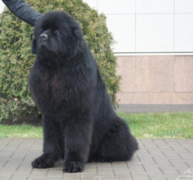 Фотография № 62884