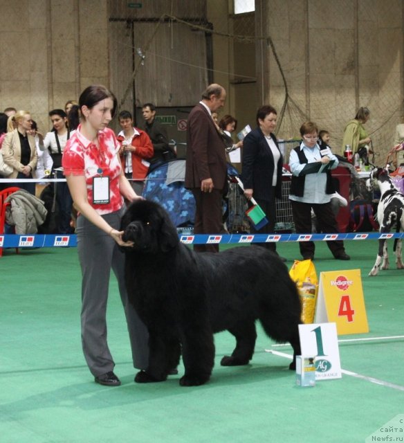 Фотография № 62895