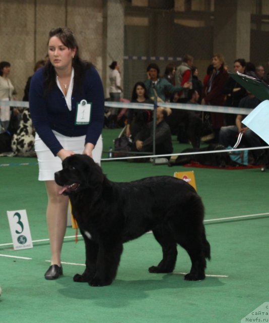 Фотография № 62896