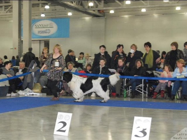 Фотография № 62903