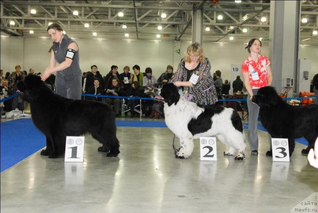 Фотография № 62906