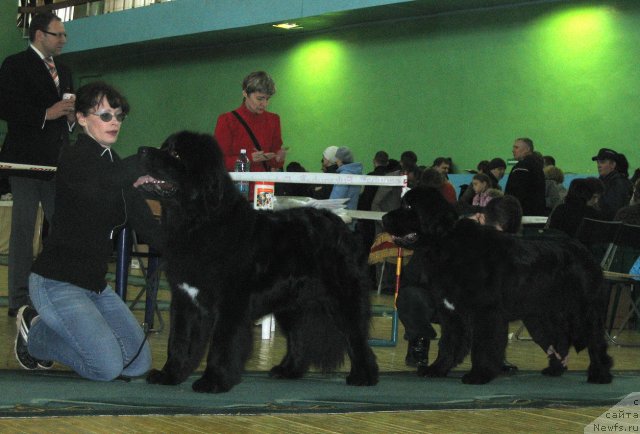 Фотография № 62930