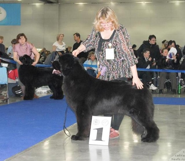 Фотография № 62945