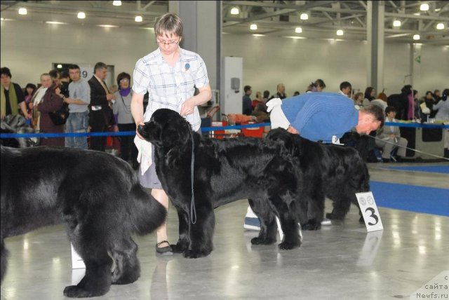 Фотография № 62949