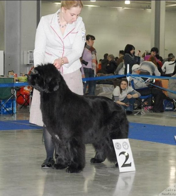 Фотография № 62952