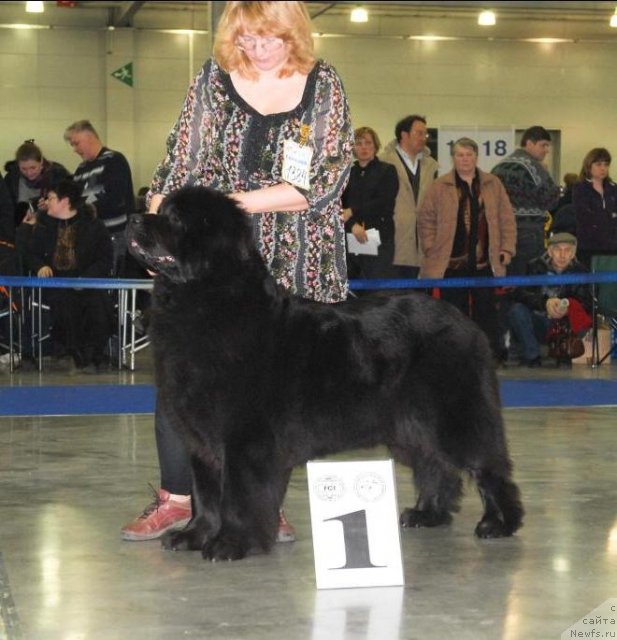 Фотография № 62954