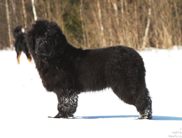 Фотография № 62956