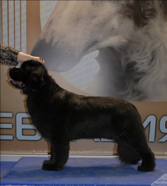 Фотография № 62959