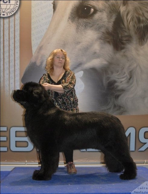 Фотография № 62960