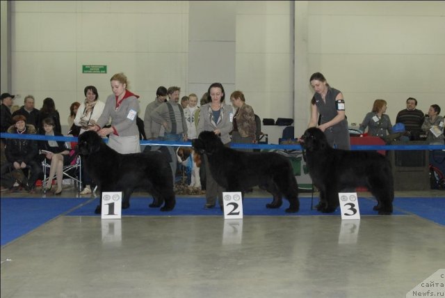 Фотография № 62961