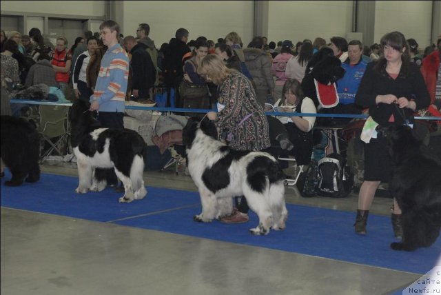 Фотография № 62962