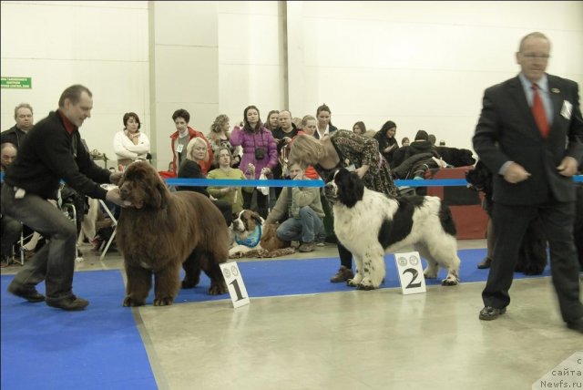 Фотография № 62963