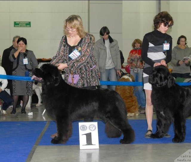 Фотография № 62965