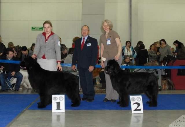 Фотография № 62968