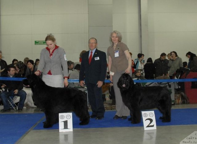 Фотография № 62969