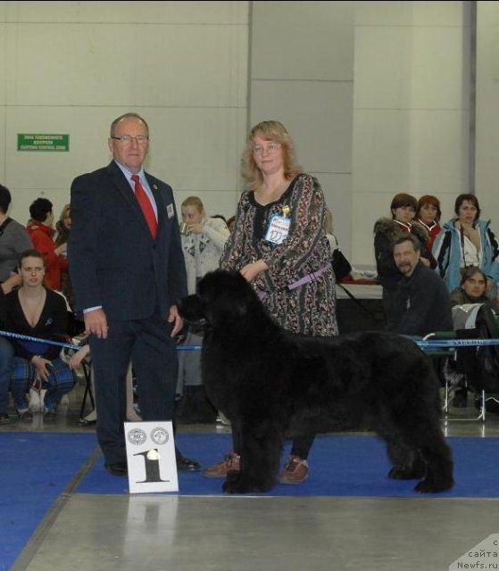 Фотография № 62970