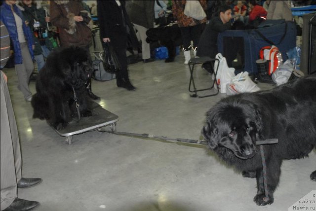 Фотография № 62971