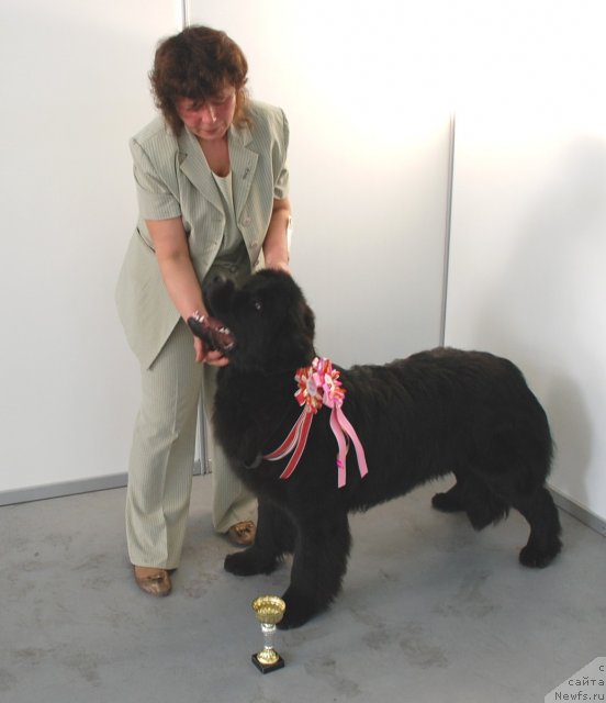 Фотография № 62975