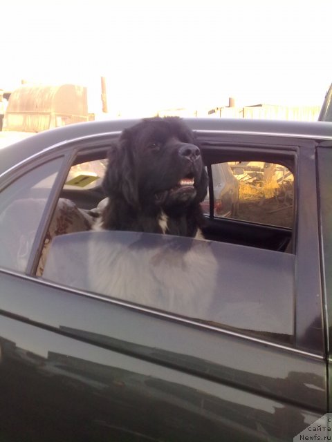 Фотография № 62980