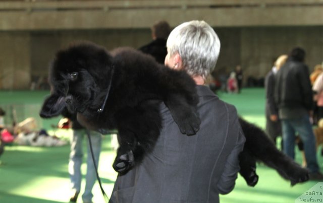 Фотография № 62986