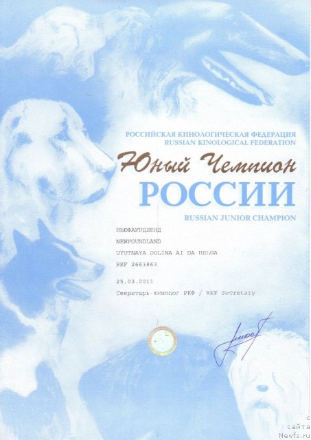 Фото: ньюфаундленд Uyutnaya Dolina Ai da Helga (Уютная Долина Ай да Хельга)