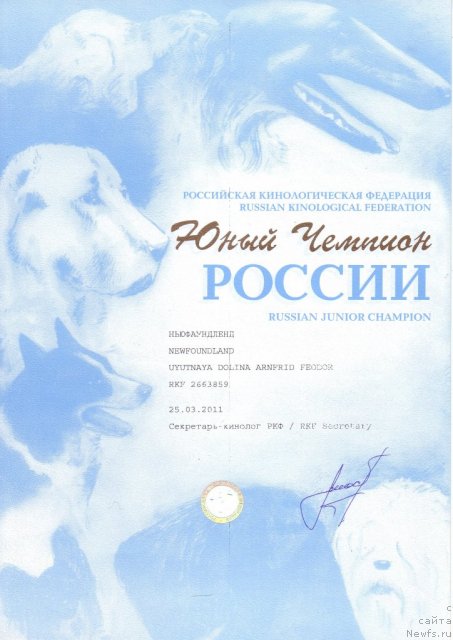 Фото: ньюфаундленд Uyutnaya Dolina Arnfrid Feodor (Уютная Долина Арнфрид Феодор)