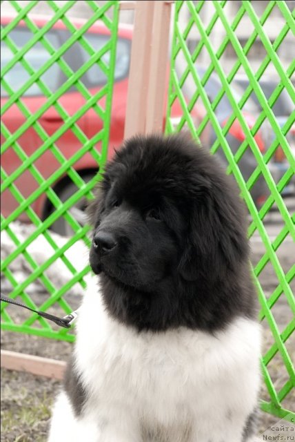 Фотография № 63053