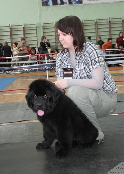 Фотография № 63059