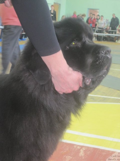 Фотография № 63064