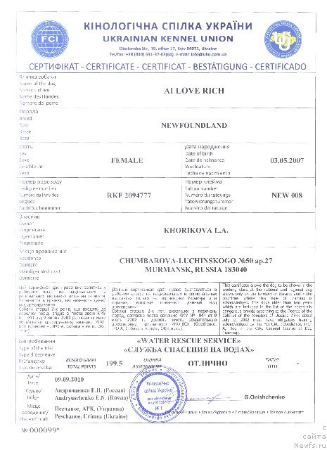 Фото: ньюфаундленд Ai Love Rich (Ай Лав Рич)