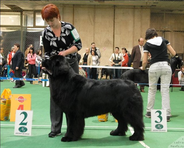 Фотография № 63124