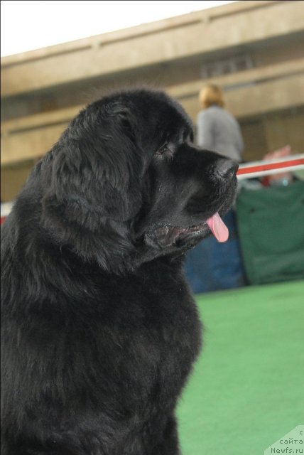 Фотография № 63127