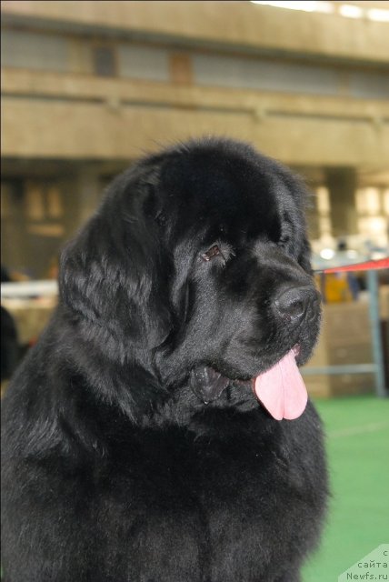 Фотография № 63128