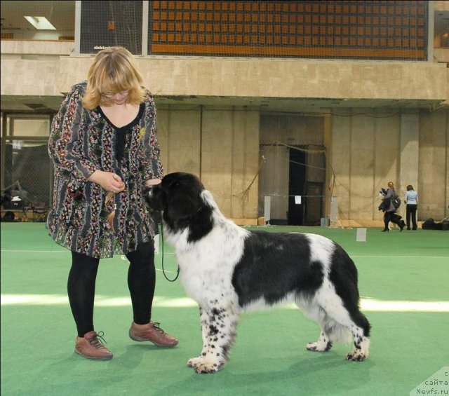 Фотография № 63129