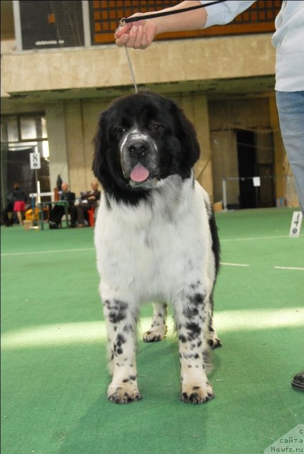 Фотография № 63132