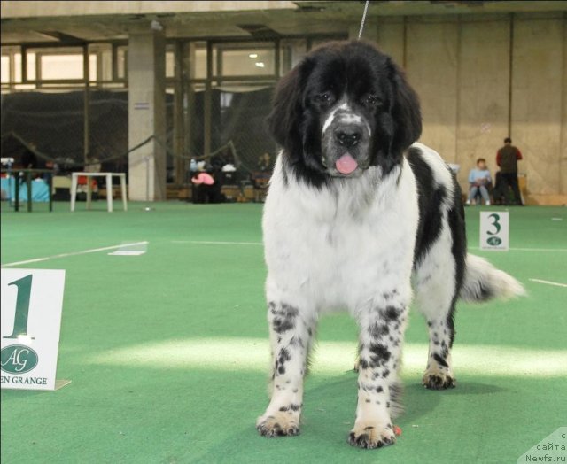 Фотография № 63134