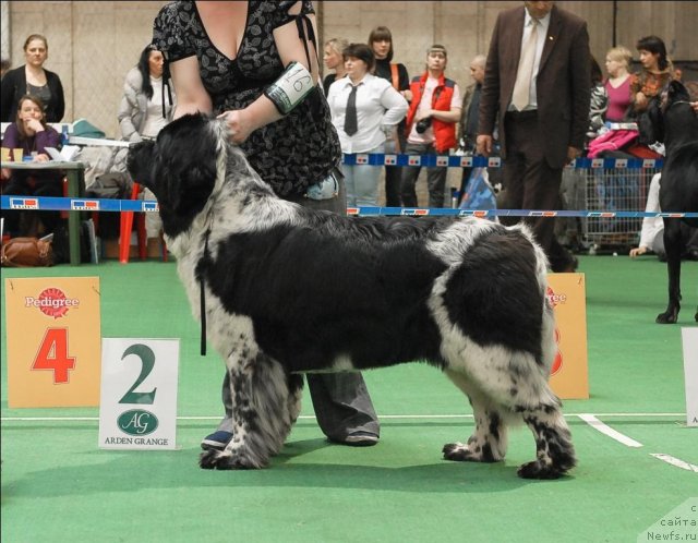 Фотография № 63136