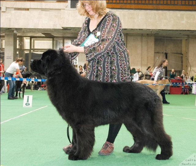 Фотография № 63137