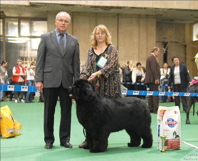 Фотография № 63140