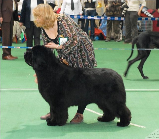 Фотография № 63141