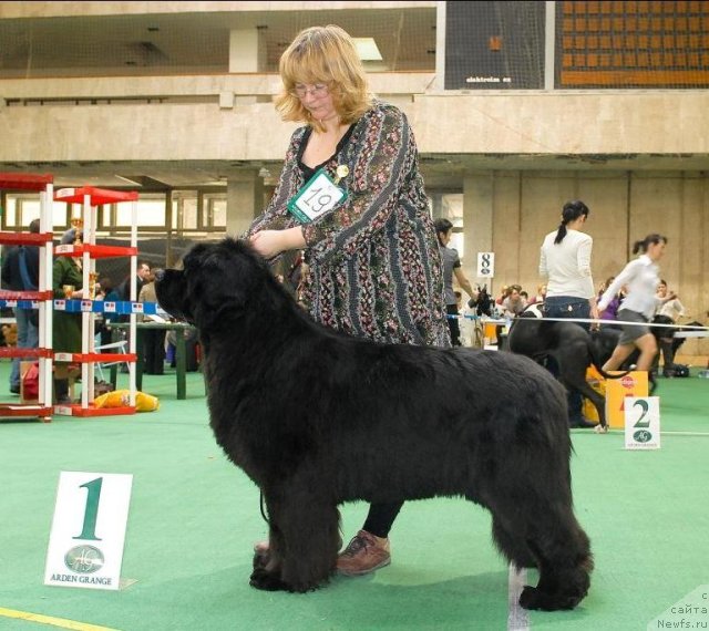 Фотография № 63142