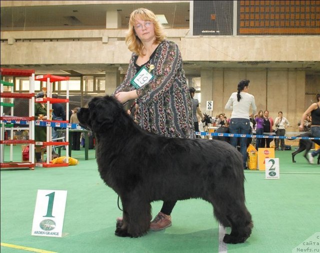 Фотография № 63143